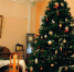 Для посетителей Азовского музея подготовлена новогодняя интерактивная программа - Газета Приазовье