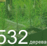 В Азовском районе подвели итоги областного Дня древонасаждения и Международной акции «Сад Памяти». - Азовский район