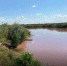 Вода окрасилась в розовый цвет. Фото t.me/mpro161 - RuffNews.Ru