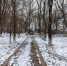 Парк в селе Высочино. Фото 61.gorodsreda.ru - RuffNews.Ru