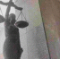 В Азове под суд пойдет 31-летняя мать, которая истязала годовалую дочь - Azov.DonDay.Ru