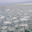 Восточная часть Азовского моря. Фото С.А. Негода / филиал ВНИРО - RuffNews.Ru
