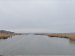 Над Азовским морем силы ПВО сбили три беспилотника в ночь на 7 марта