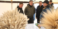 Ростовская область получит 8 млрд рублей на программы в сфере экологии - Газета Приазовье
