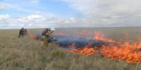 Чрезвычайный и высокий уровни пожароопасности сохраняется в Азовском районе - Azov.DonDay.Ru