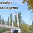 Подвесной мост. Фото Елены Фроловой - RuffNews.Ru