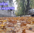 Осенний Азов. Фото Ольги Максимовой - RuffNews.Ru