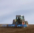 В Азовском районе озимыми засеяли 97 тысяч гектаров - Azov.DonDay.Ru