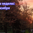 Вечерний парк Памяти. Фото Романа Гурина - RuffNews.Ru