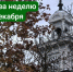 Башня Азовского музея-заповедника. Фото Романа Гурина - RuffNews.Ru