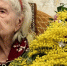Жительница Азова отметила 102-й день рождения - Газета Приазовье