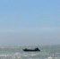 Ученые прогнозируют начало замора рыбы в Азовском море на 12 июля - Azov.DonDay.Ru